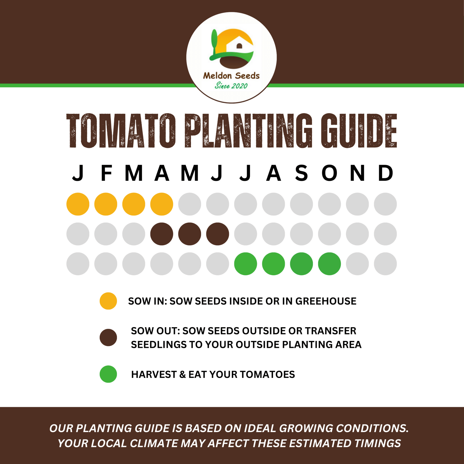 Yellow Tomato Seeds Golden Sunrise - 20 Fresh Vegetable Seeds for Growing UK - Chartley Chucks