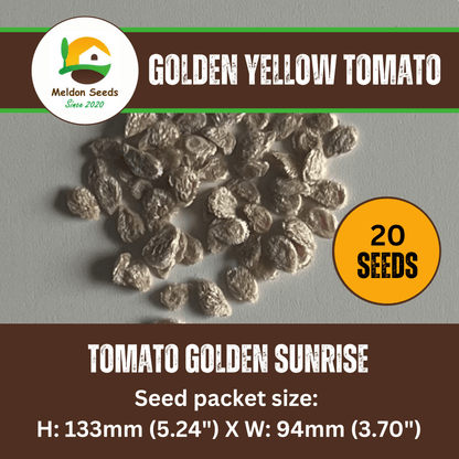 Yellow Tomato Seeds Golden Sunrise - 20 Fresh Vegetable Seeds for Growing UK - Chartley Chucks