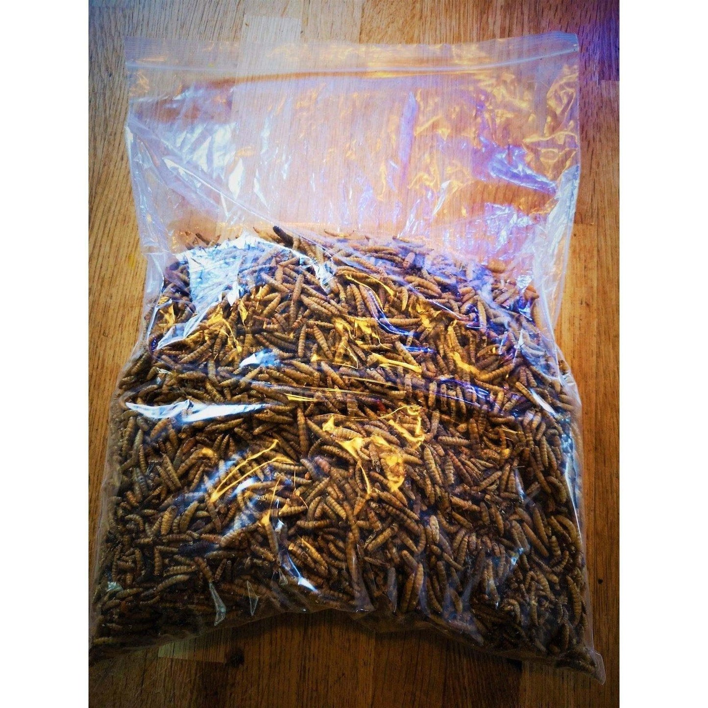 Dried Calciworms - Imported - better than mealworms - PROTEIN Boost - Chartley Chucks