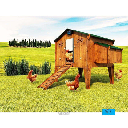 Easicoop Duplex 4XL - HPL Chicken house up to 20 large Birds - on legs - Chartley Chucks